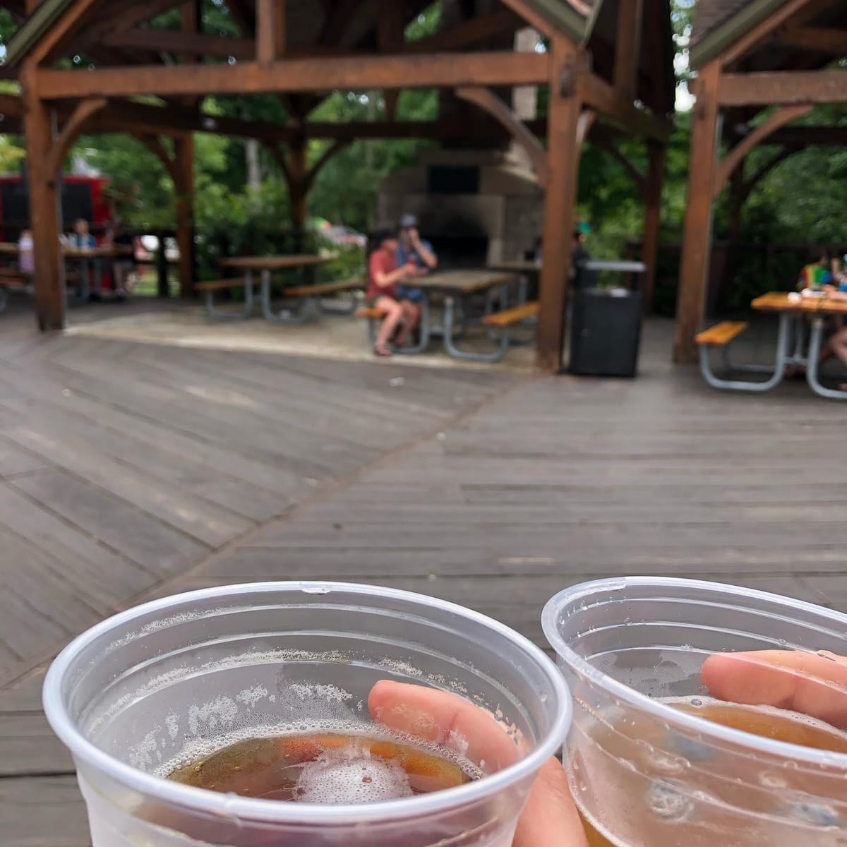 Stopped at tahquamenon falls brewery to pregame a little hiking!
#tahquamenonfalls #brewery #upperpeninsulamichigan #michiganwild #puremichigan #travel #adventure