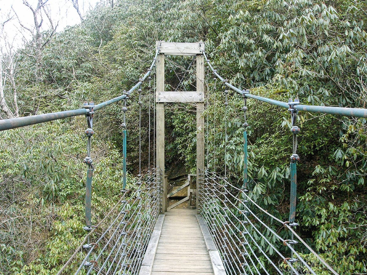 Suspension bridge over raven cliff falls.jpg